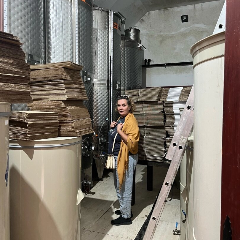 Vinarium-Banostor必去景点