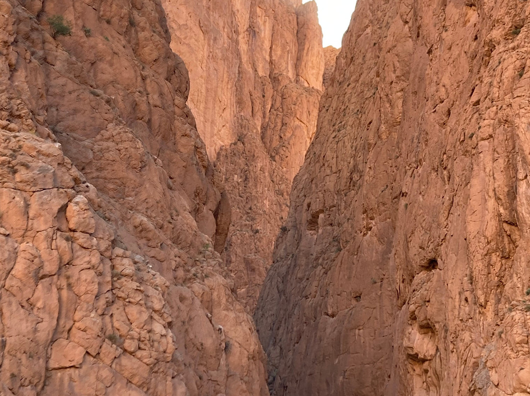 Berber Walk景点图片