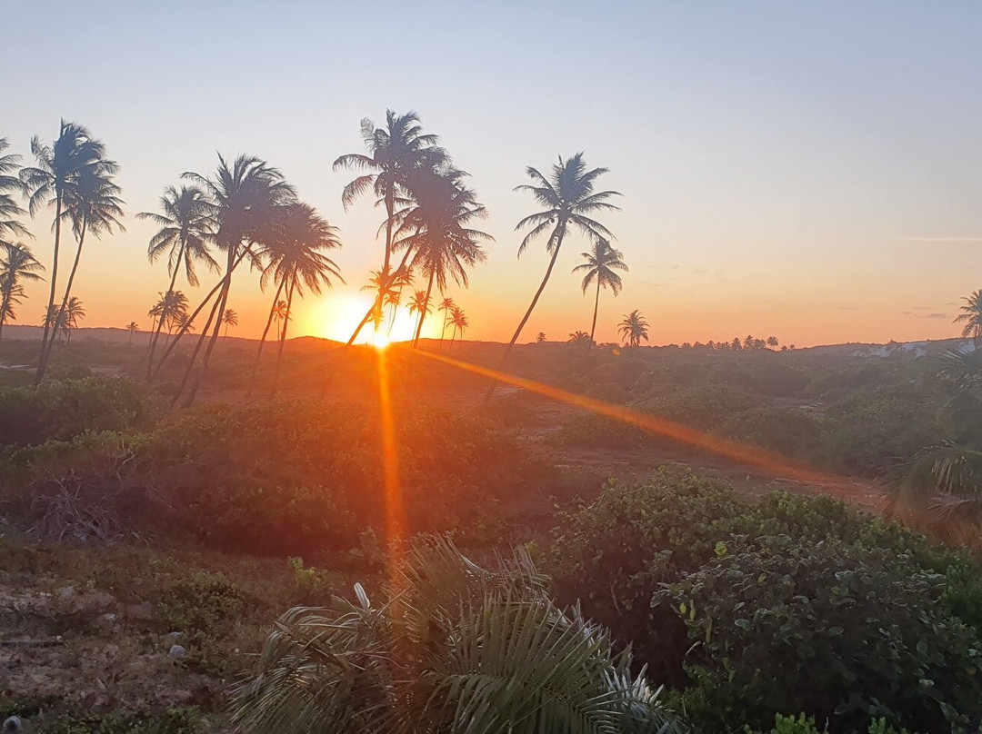 Tree Bies Resort主图