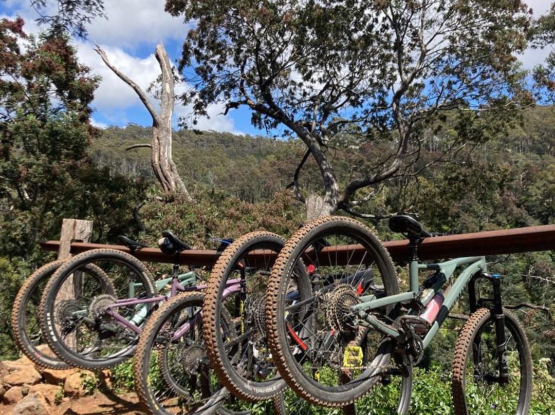 Women's MTB Retreats Tasmania