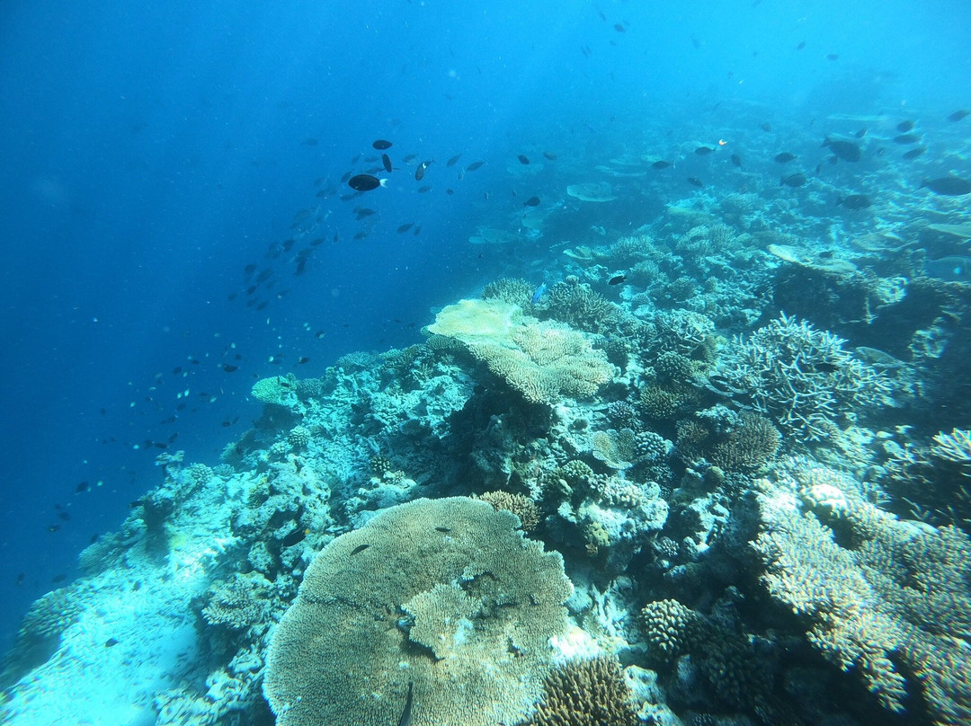 Maldivers Dhiffushi-Dhiffushi Island必去景点