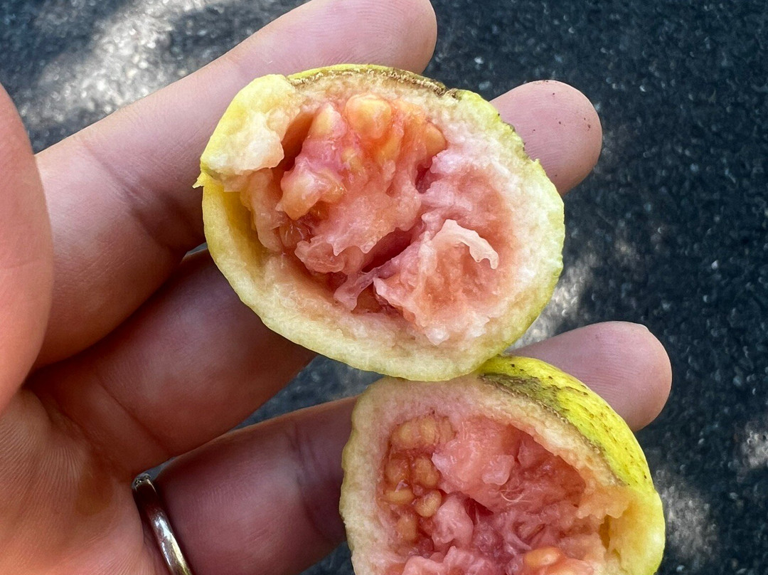 Altura-圣胡安必去景点