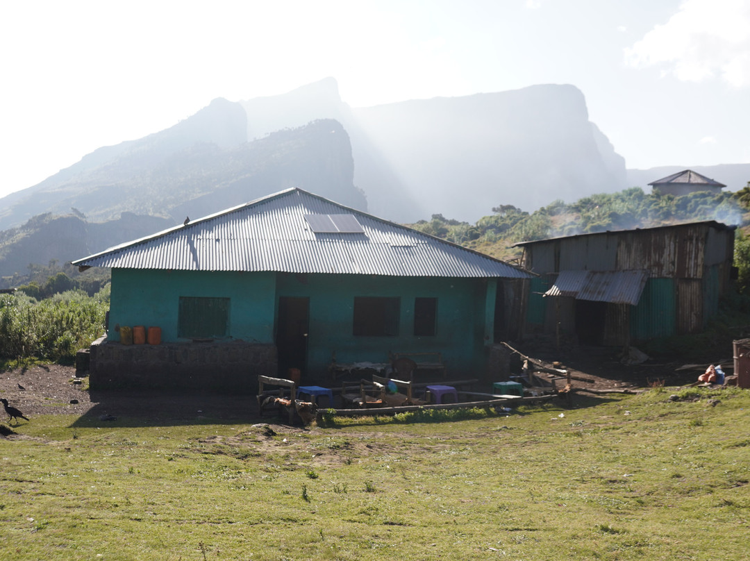 Simien Mountain Tours景点图片