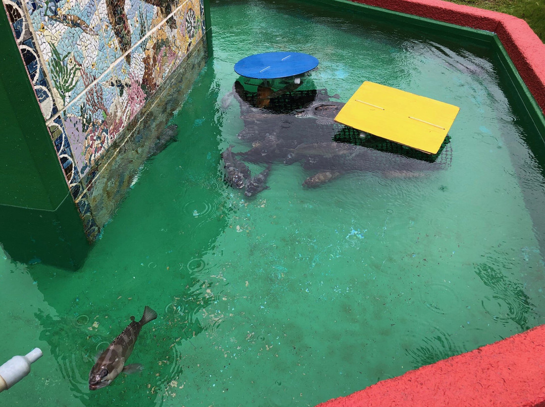 Ogasawara Marine Product Center-Chichi-jima必去景点