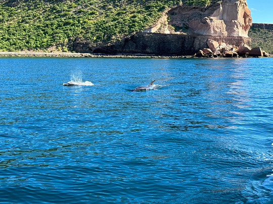Alonso Tours-拉巴斯必去景点