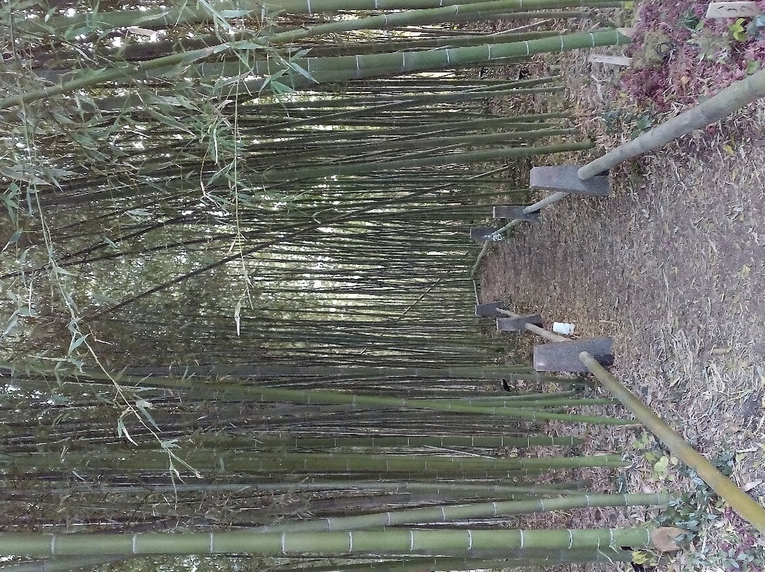 Jujo Ginza Shopping Arcade-北区必去景点