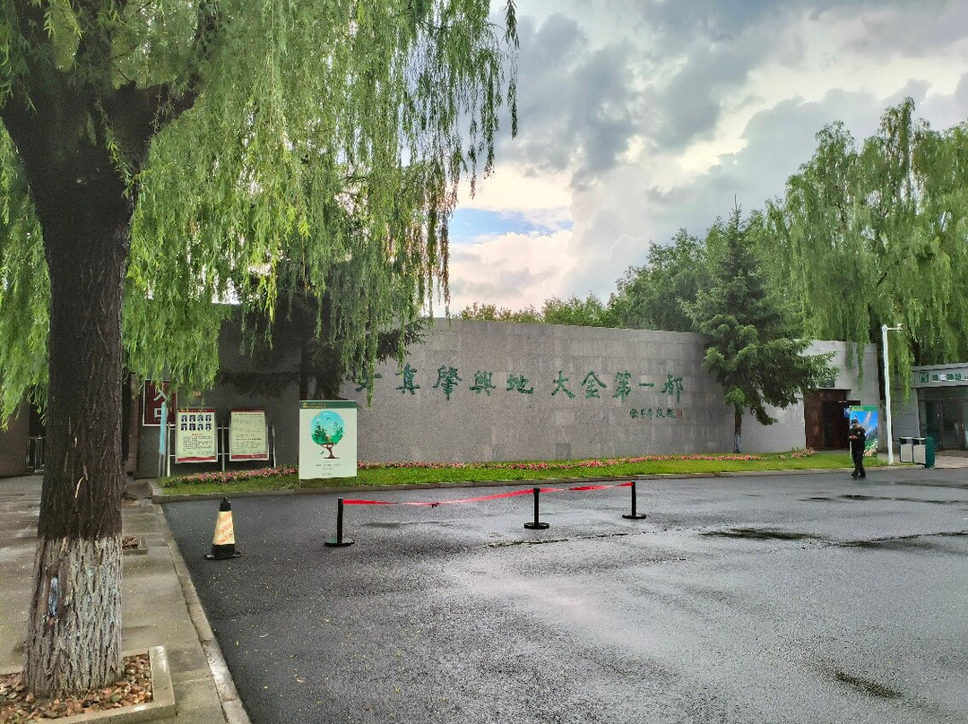 金上京历史博物馆景点图片