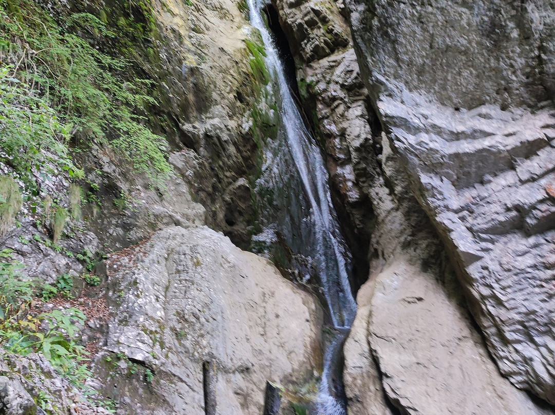 Pekel Gorge-Borovnica必去景点