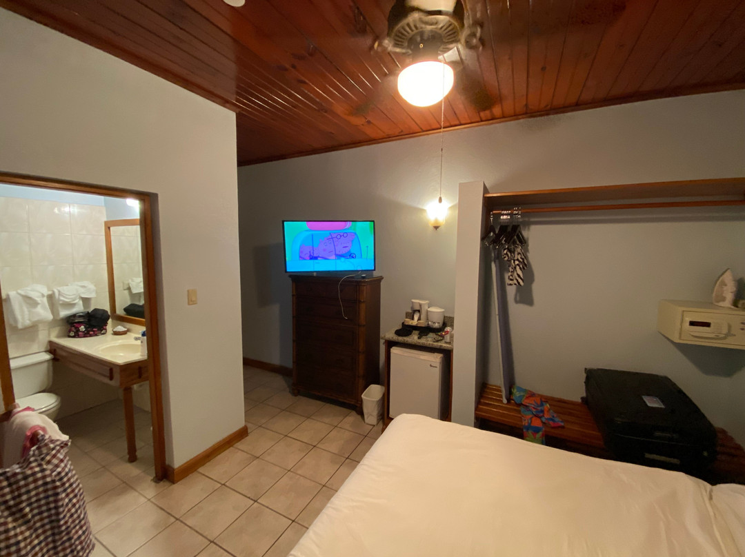 可可棕榈酒店主图