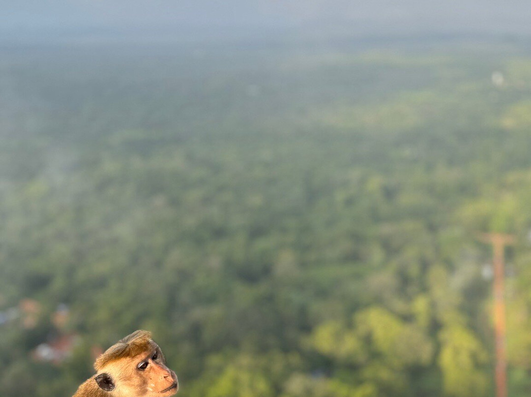 Ceylon Lanka Travels景点图片