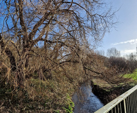 Kirkby Brook-Kirkby必去景点