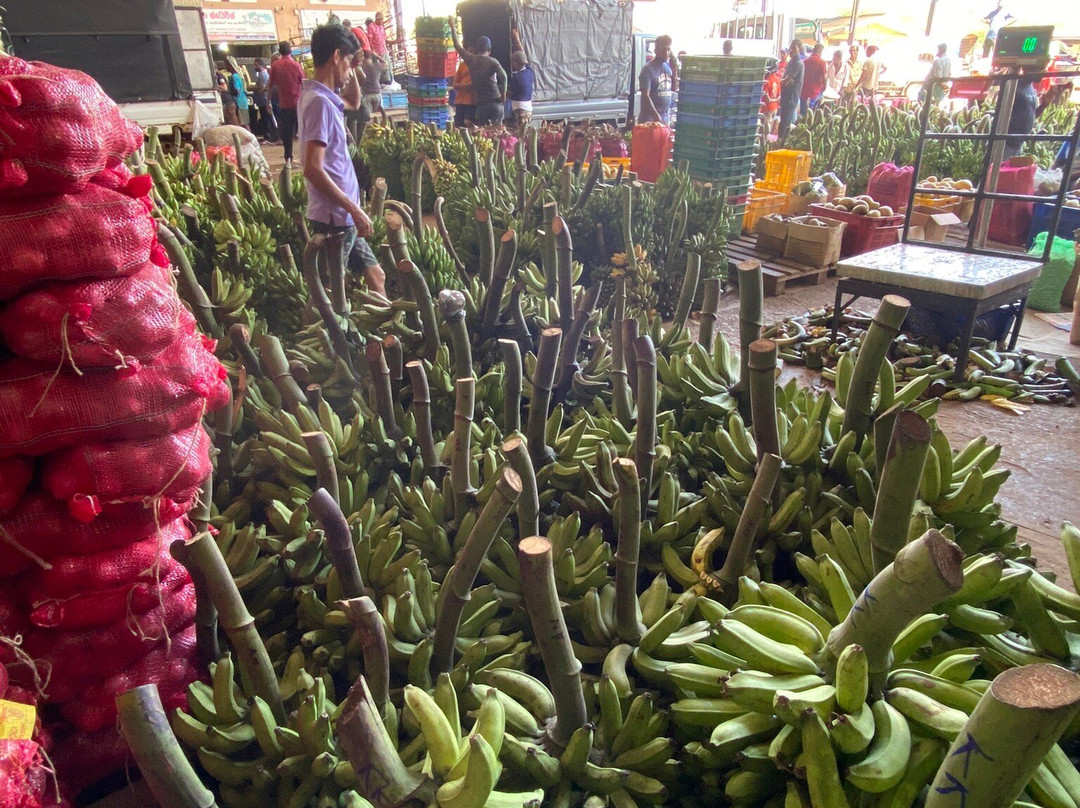 Hirumal Tours-班达拉维拉必去景点