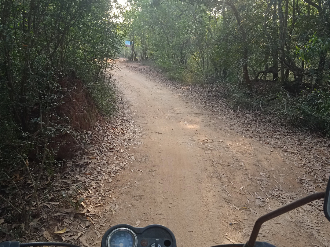 Sadhana Forest-Auroville必去景点