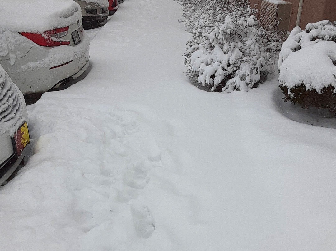 Comfort Suites Rochester Henrietta University Area主图