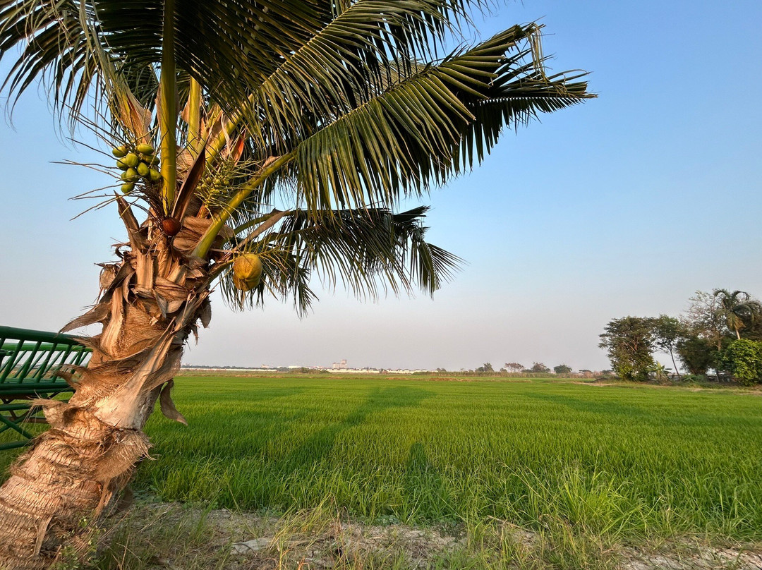 普鲁达雅度假村主图