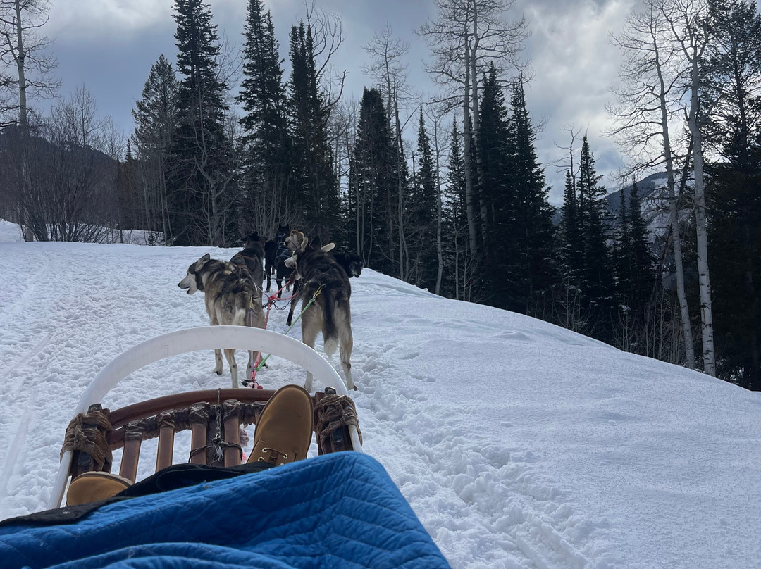 Krabloonik Dogsled Rides景点图片