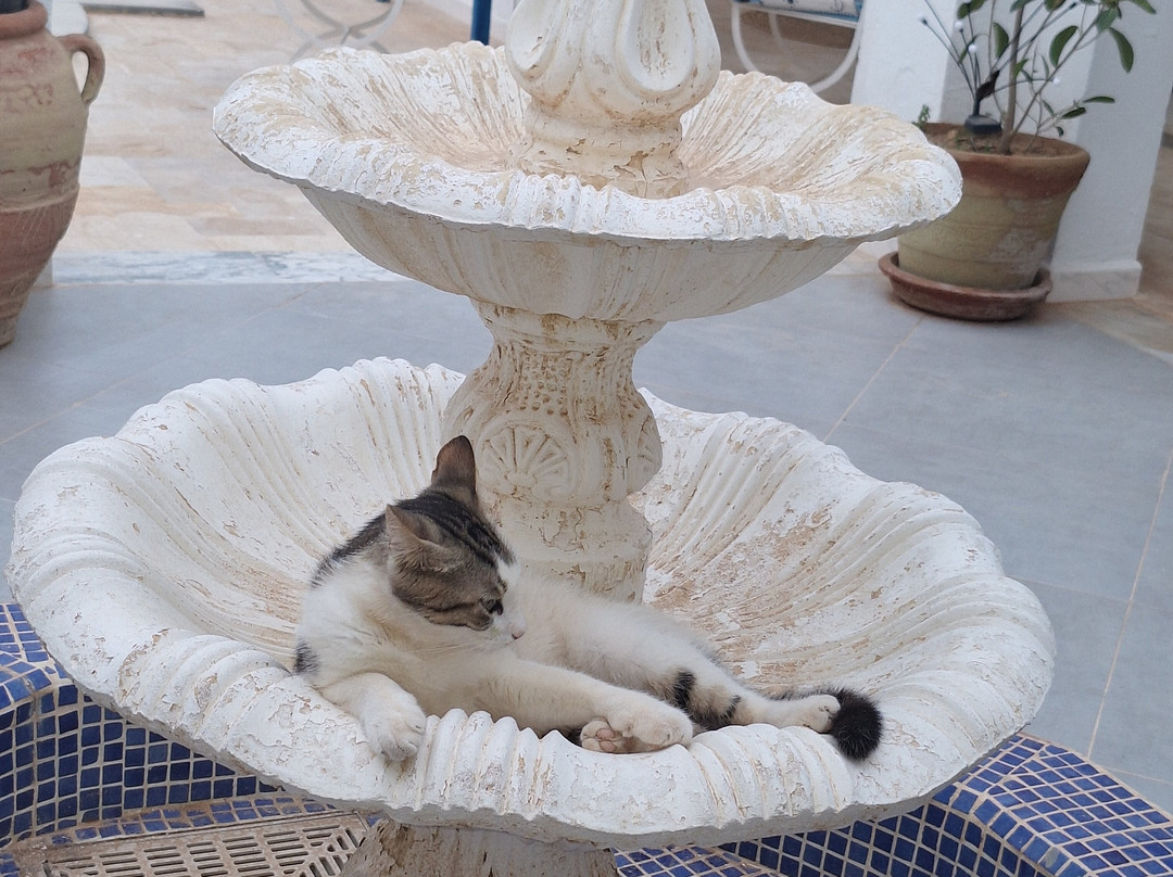 Dar Chick Yahia主图