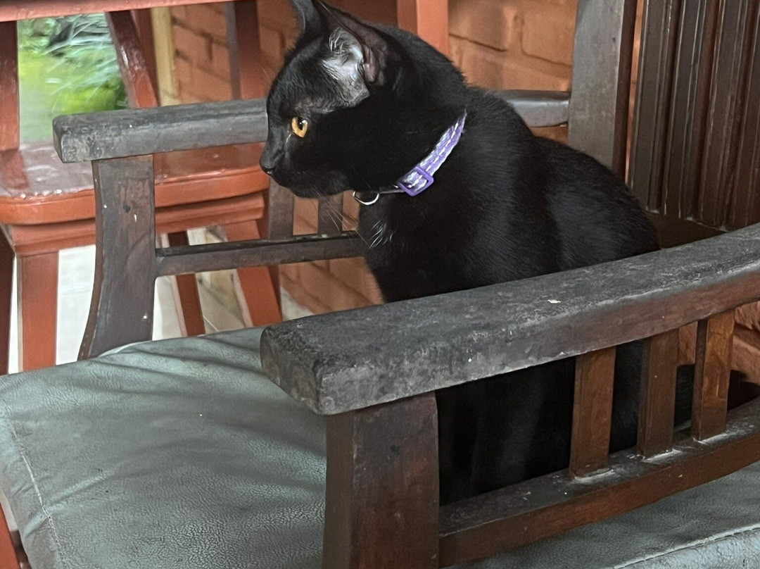 彭杜克巴都英达寄宿宾馆主图