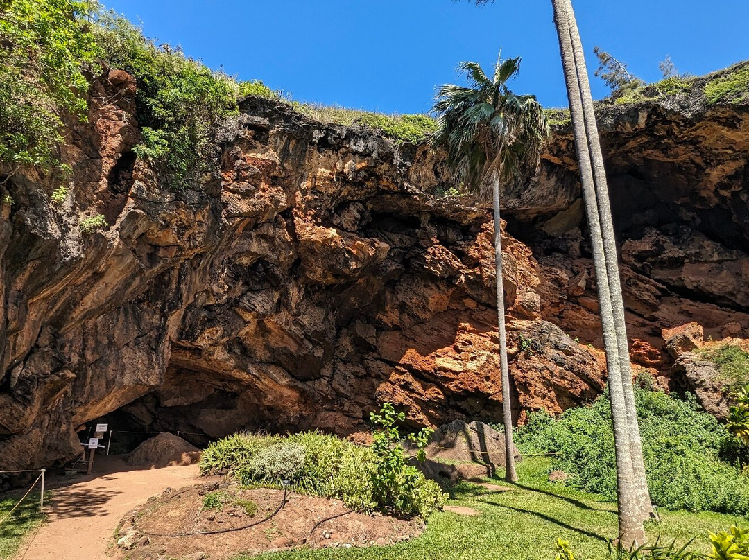 Makauwahi Cave Reserve景点图片