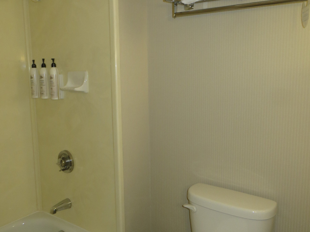 布伦瑞克三角洲酒店主图