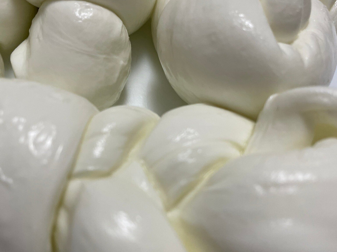 Caseificio Il Casolare-Alvignano必去景点