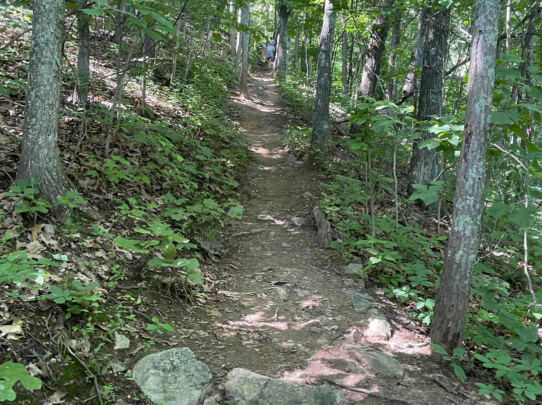 House Mountain State Natural Area-诺克斯维尔必去景点