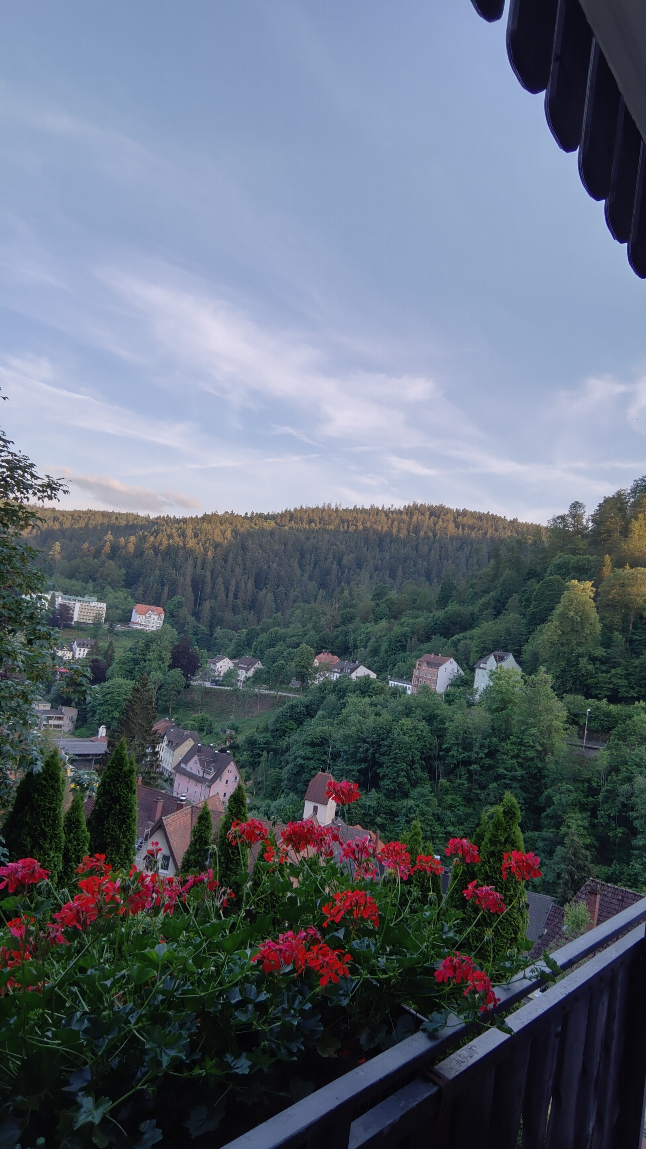 Best Western Plus Hotel Schwarzwald Residenz-酒店景观