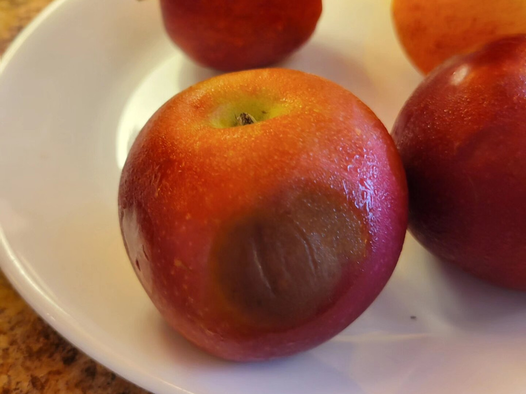 Lakelawn B&B Motel主图