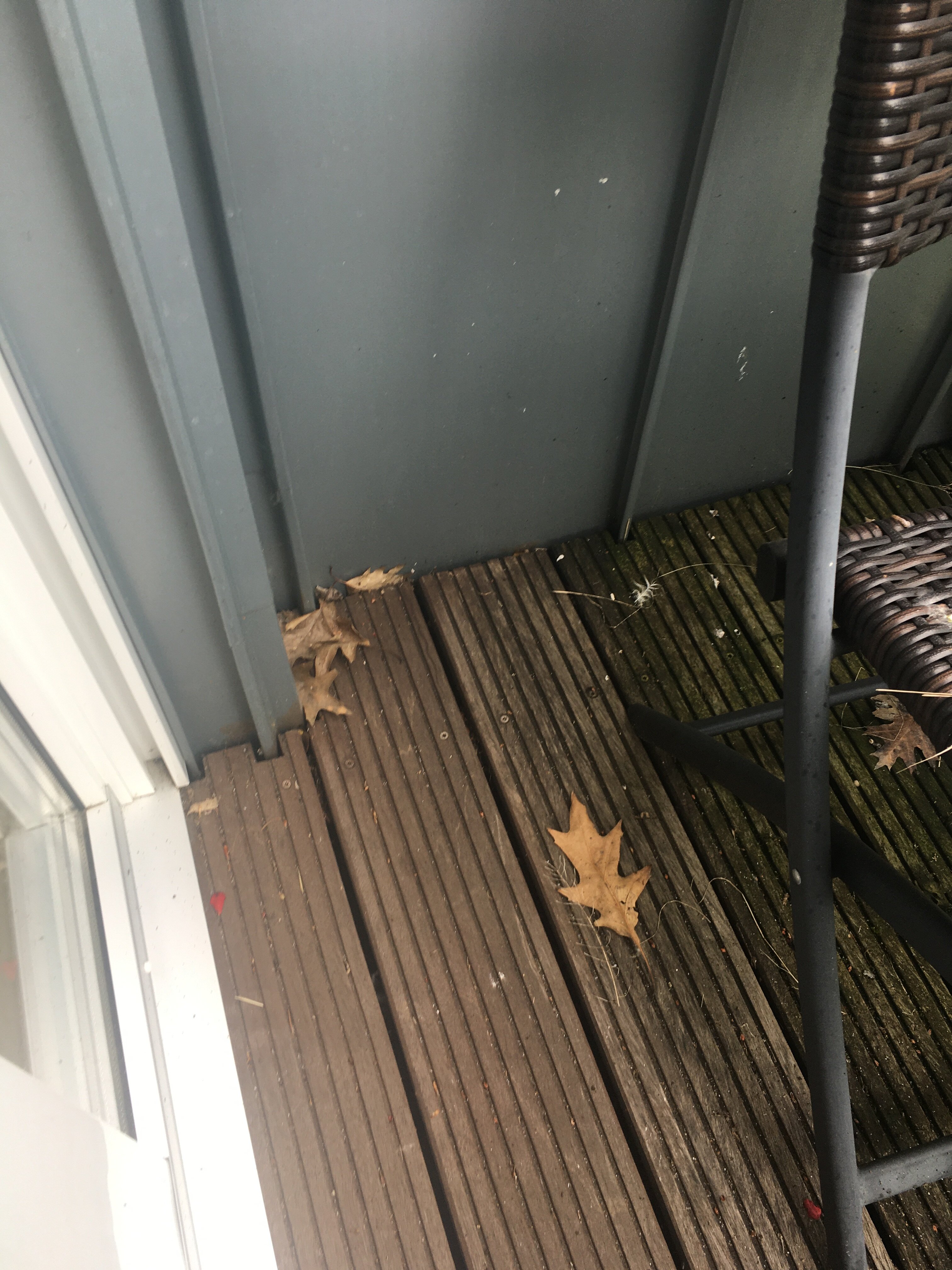 Zum Hasen Hein-浴室