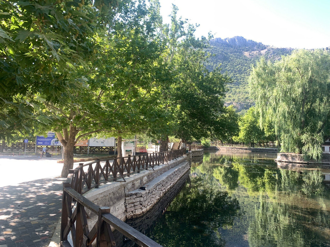 Kuğulu Park景点图片
