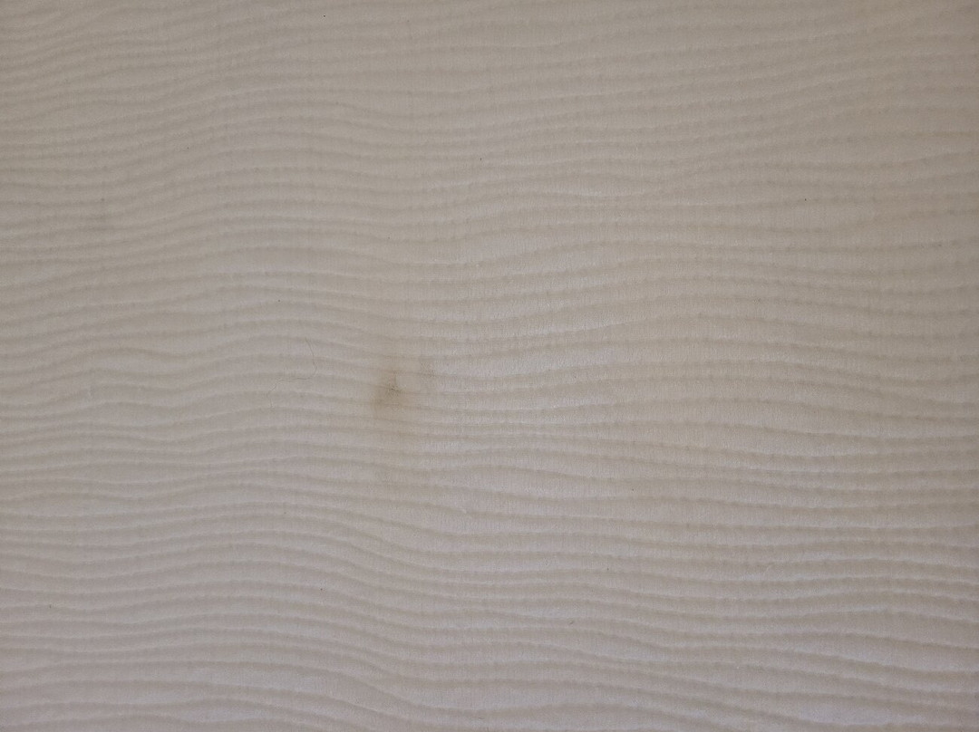 Best Western Plus Butte Plaza Inn主图