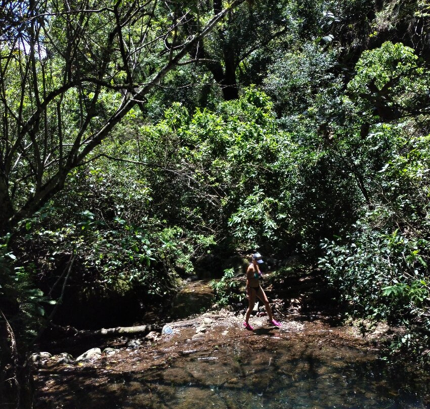 Tepozteco景点图片