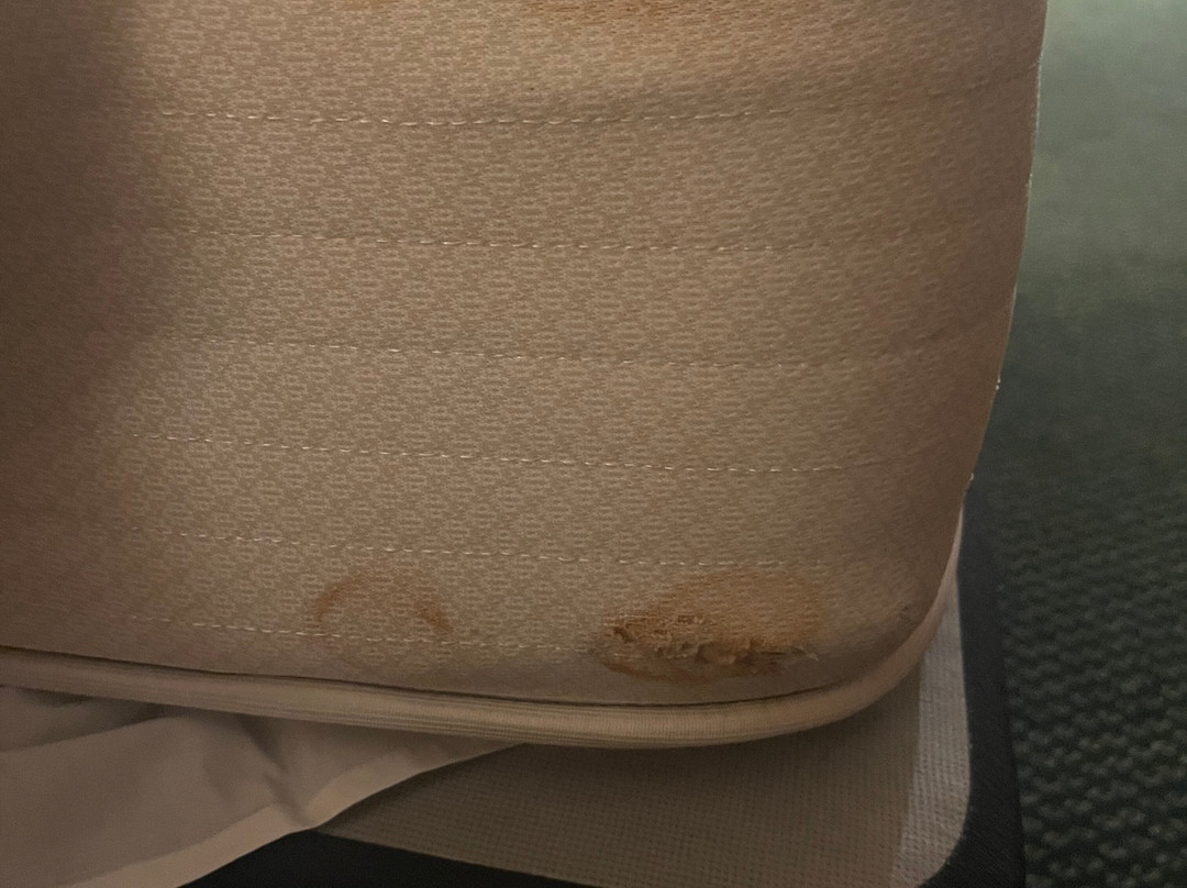 Starlite Budget Inns主图