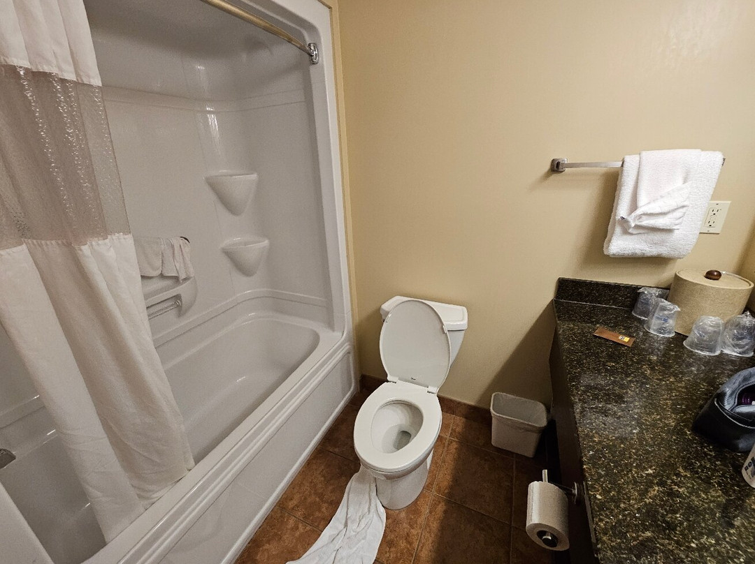 弗雷德里克顿贝斯特韦斯特套房酒店主图