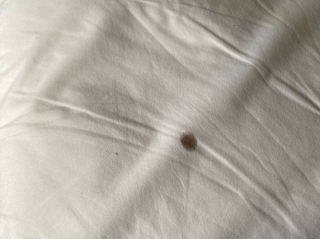 贝斯特韦斯特亚历山德里亚酒店主图