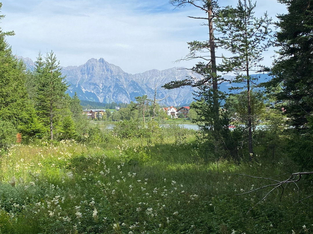 Wildsee-湖地必去景点