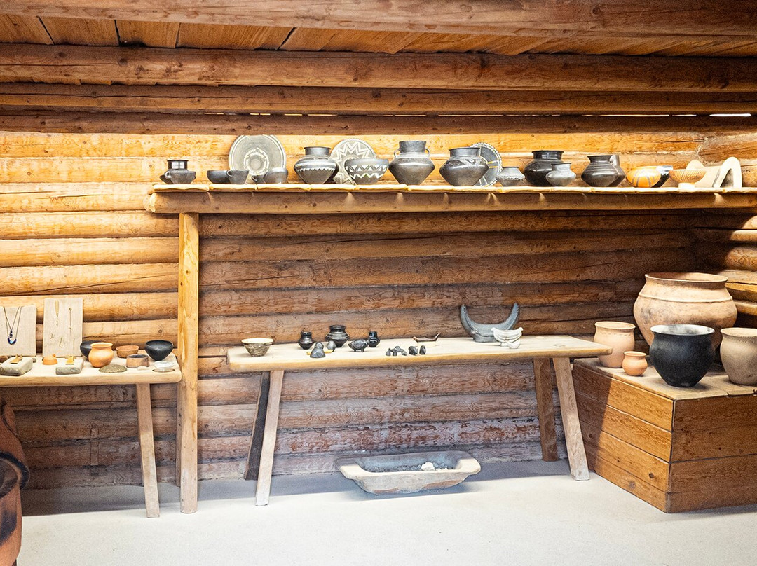 Pfahlbauten Museum景点图片