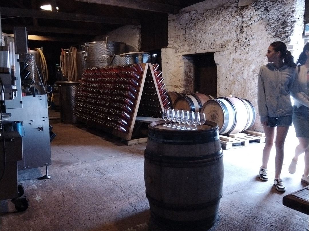 Pebblebed Vineyard-Clyst Saint George必去景点