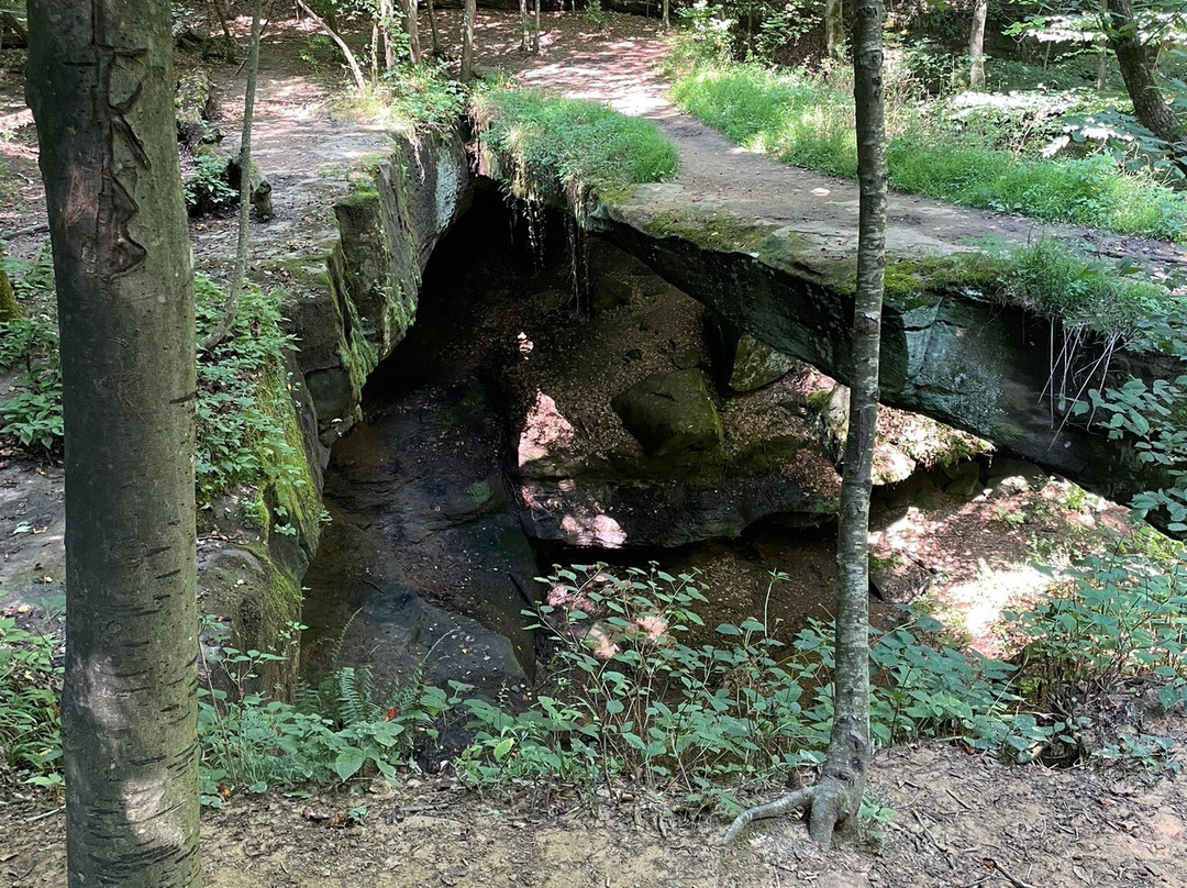 Rockbridge State Nature Preserve-Rockbridge必去景点
