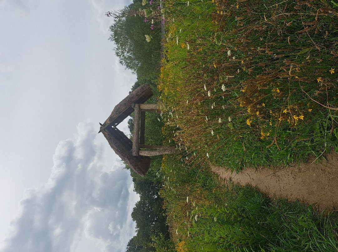 Hunebed Centre景点图片