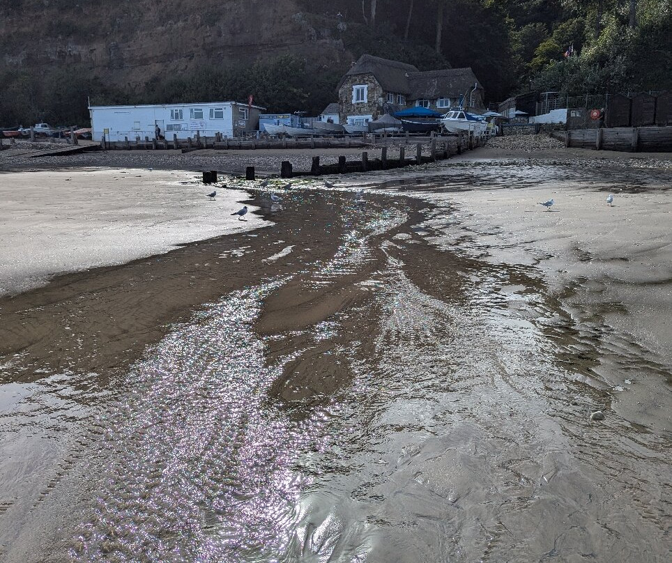 Shanklin Beach-尚克林必去景点
