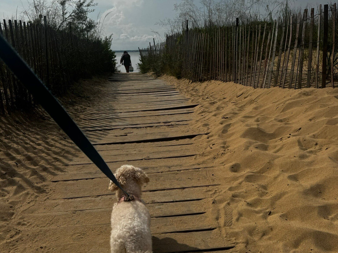 Tawas Point State Park景点图片