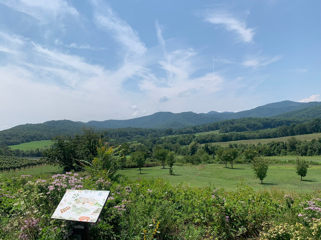 Pippin Hill Farm & Vineyards-North Garden必去景点
