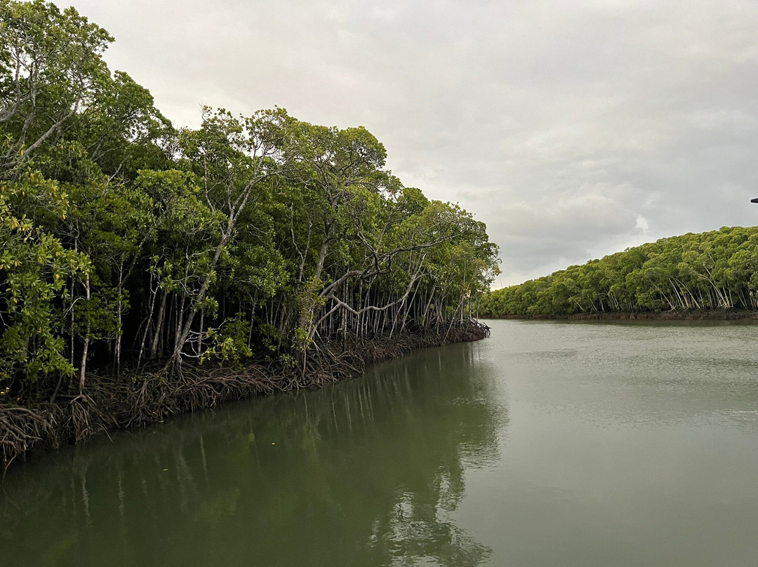Mandingalbay Authentic Indigenous Tours-凯恩斯必去景点