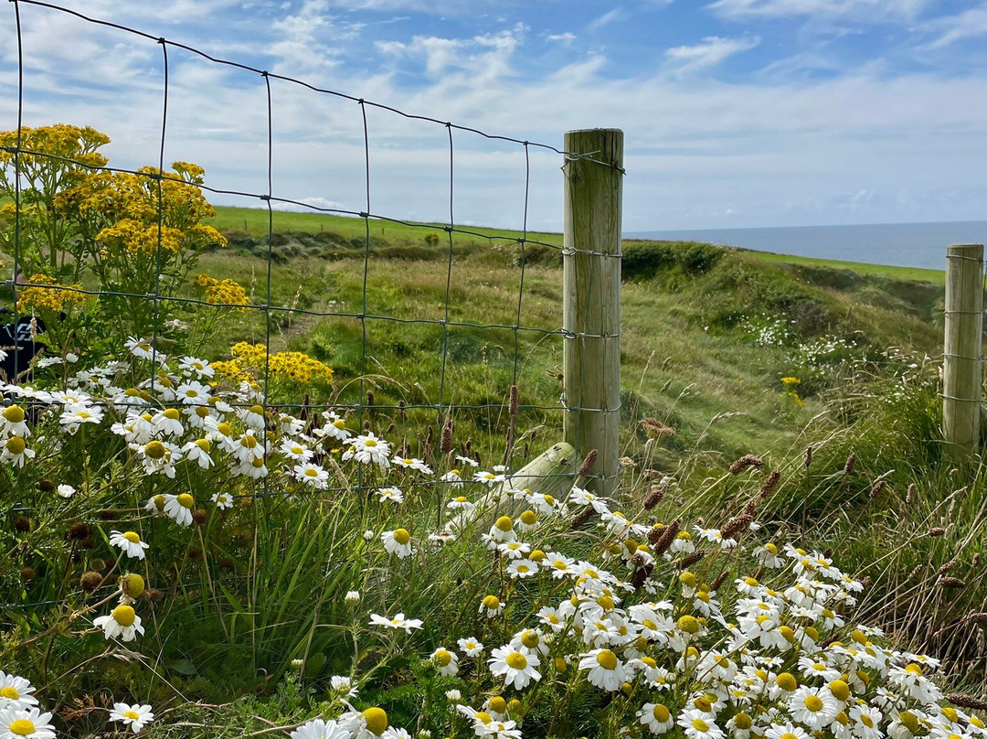 Dunmore East Coastal Walk-Dunmore必去景点
