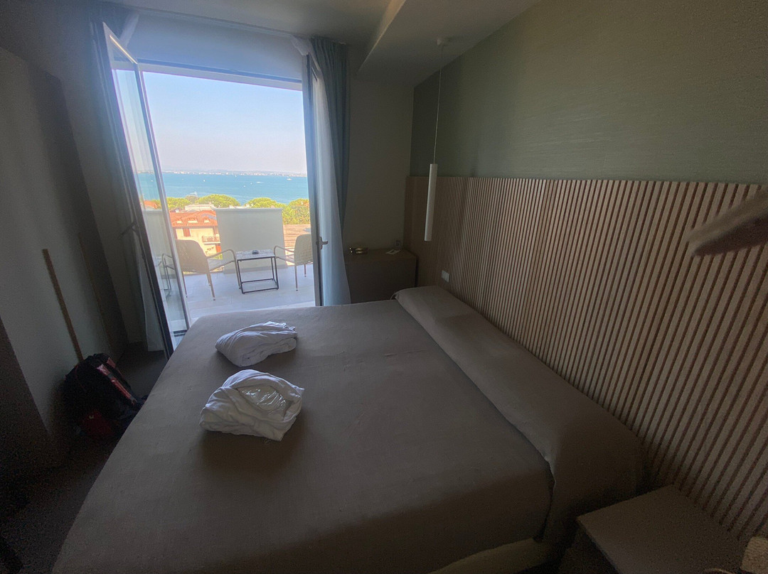 Hotel Palazzo del Garda主图