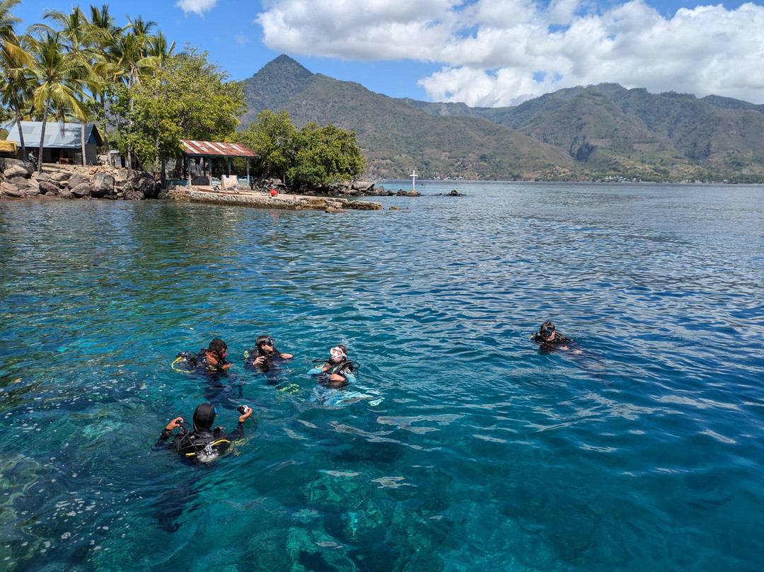 Nautika Dive Alor景点图片