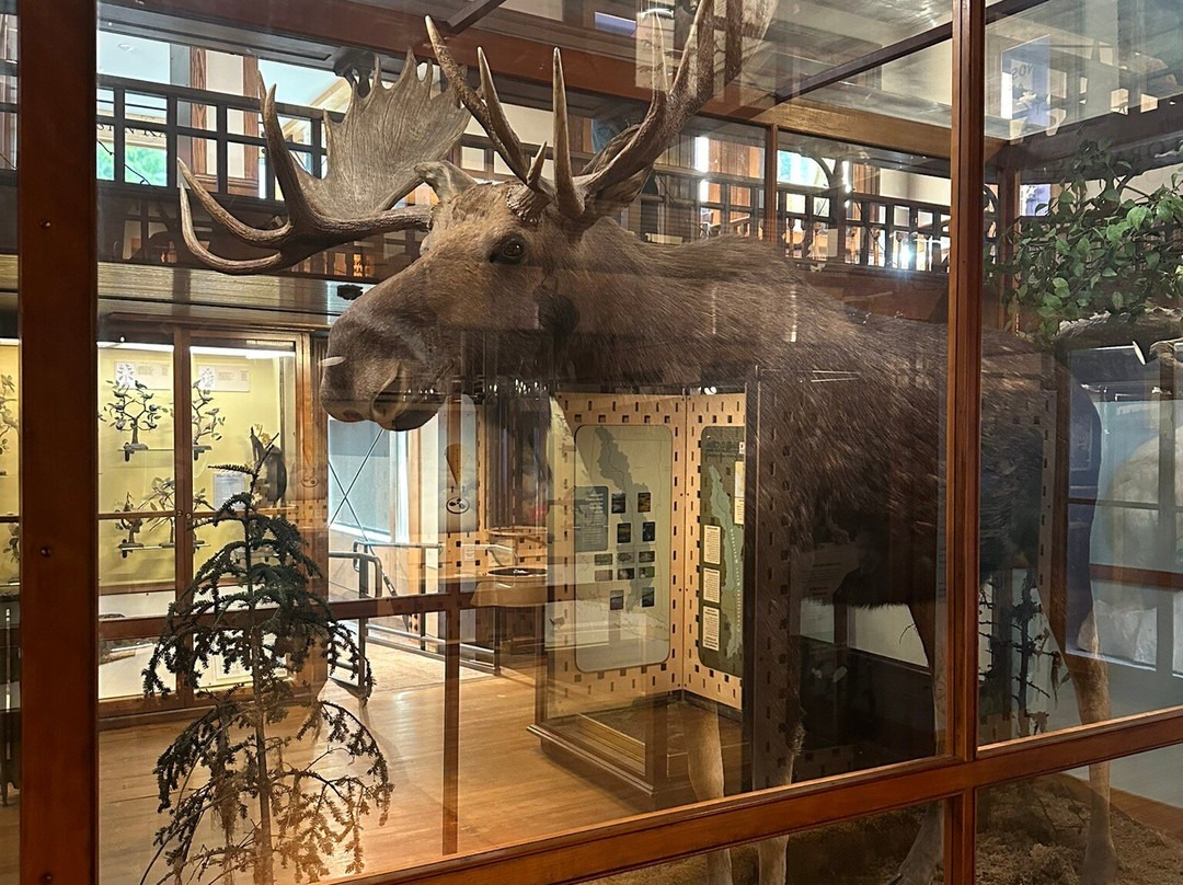 Fairbanks Museum and Planetarium景点图片