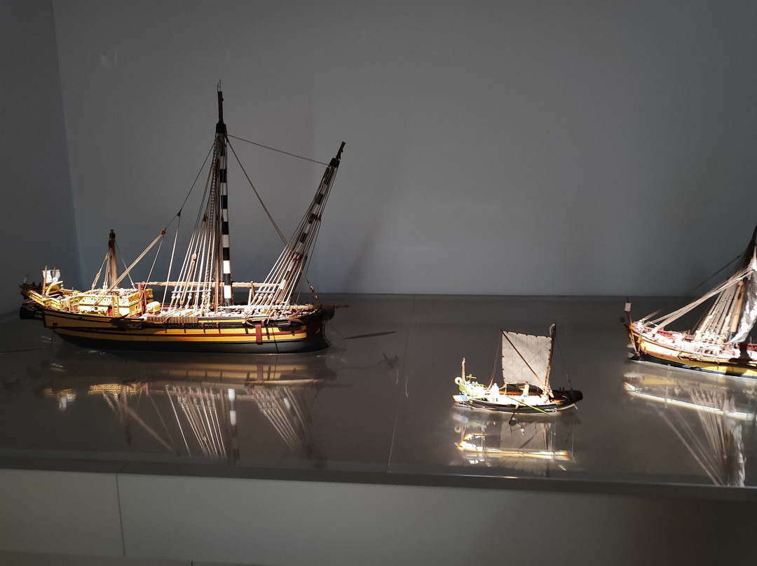 Narbo Via - Musée À Narbonne-纳博讷必去景点