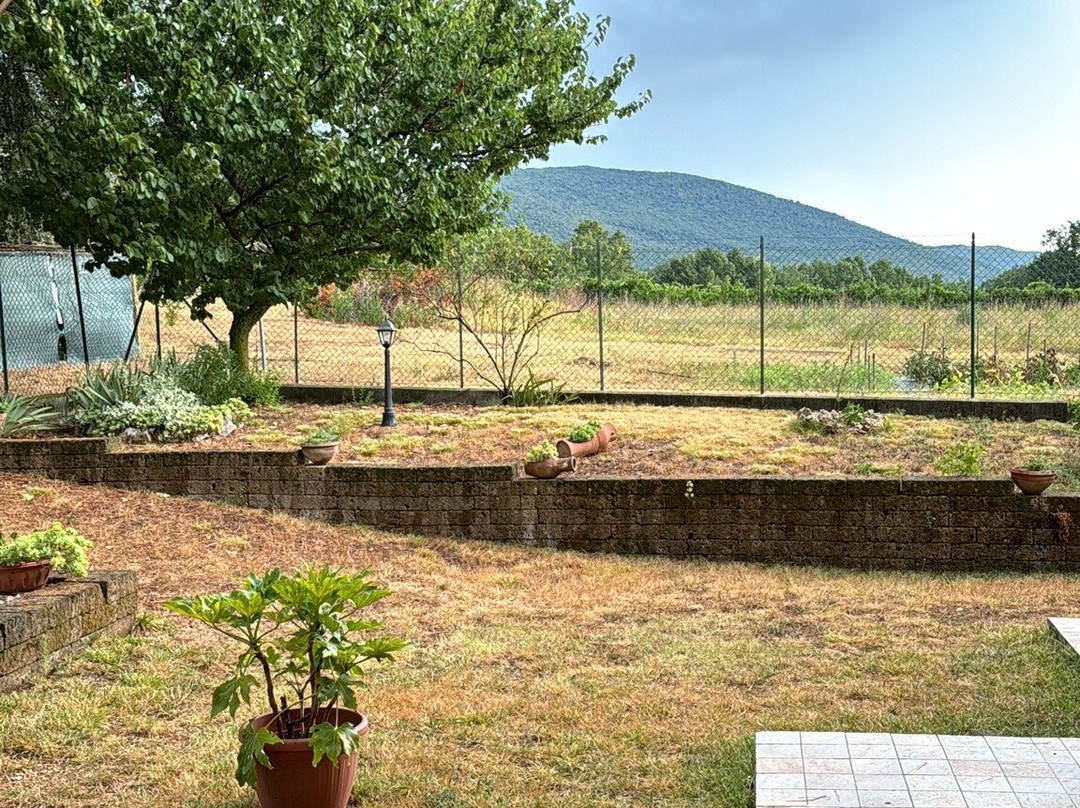 B&b Il Pizzagiallo主图